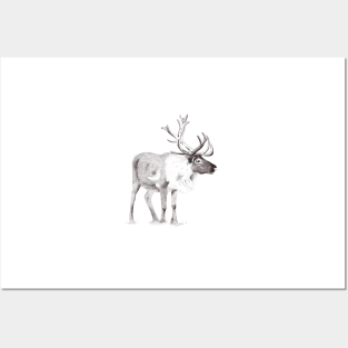 Reindeer Posters and Art